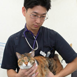 Photo Work - Veterinarian -