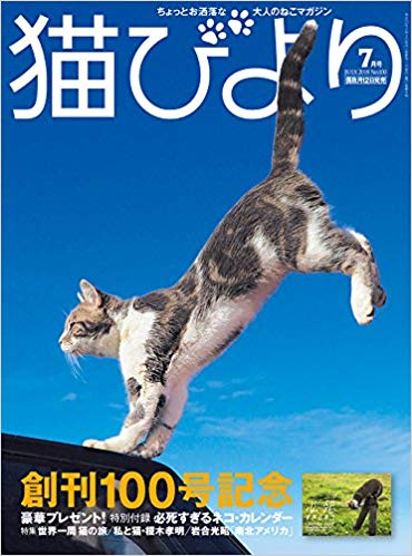 猫びより（辰巳出版）